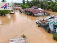 Dampak Banjir Berau, Ternak Mati Hingga Gagal Panen