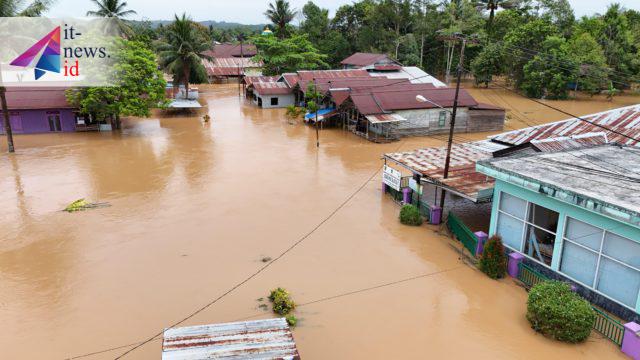 Dampak Banjir Berau, Ternak Mati Hingga Gagal Panen