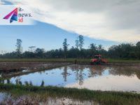Pascabanjir Bulungan, DPRD Minta Percepatan Perbaikan dan Bantuan untuk Petani
