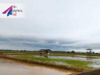 Target Optimalisasi Lahan di Bulungan Baru Capai 1.887 Hektare, Pemkab Dikejar Tenggat Akhir Juni