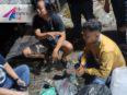 Sedang Didalami, Tiga Oknum Polisi di Nunukan Diamankan Mabes Polri
